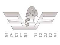 Eagle force airsoft