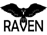 Raven airsoft