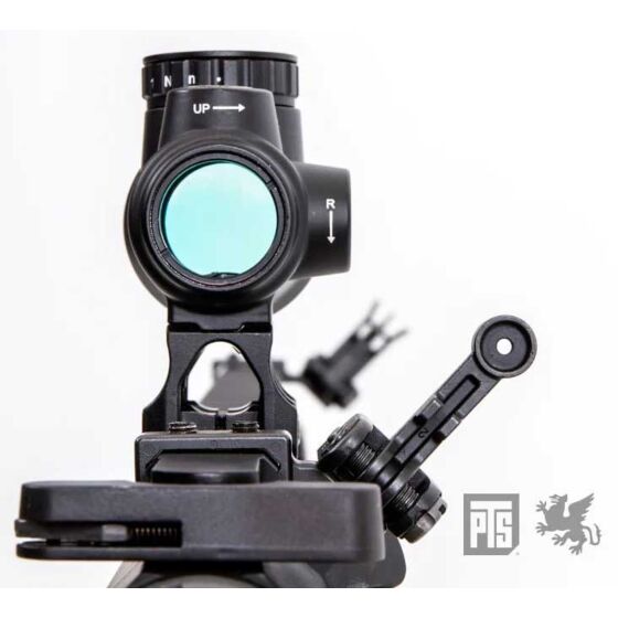 PTS Griffin modular BUIS sight set (black)