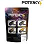 POTENCY STELLAR Surgical Shot 0.25g BIO BLACK bbs bag (4000pcs)