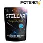 POTENCY STELLAR Surgical Shot 0.25g bbs bag (4000pcs)